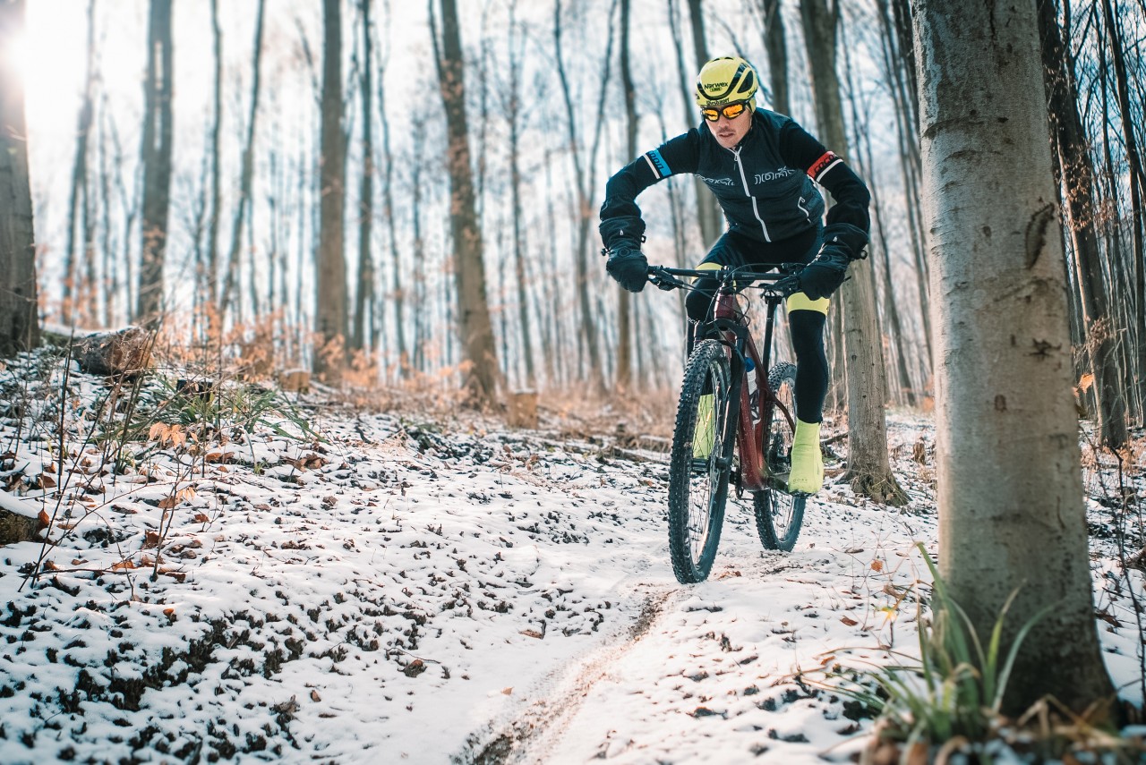 Man rides his bike downhill in the forest
